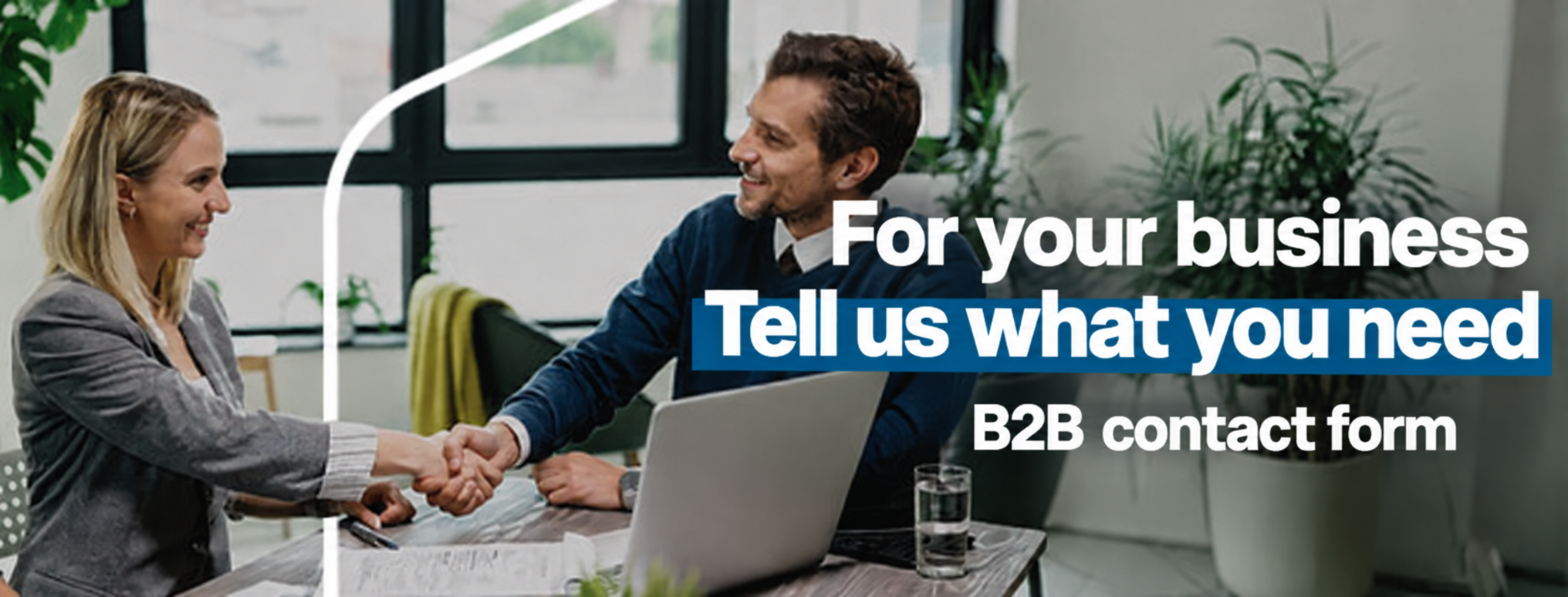 For your company – B2B contact form