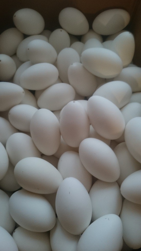 Packing eggs for transport: compartments, cushions and outer box