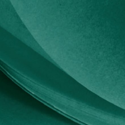 Silk smooth paper 50x75 cm green - 240 sheets