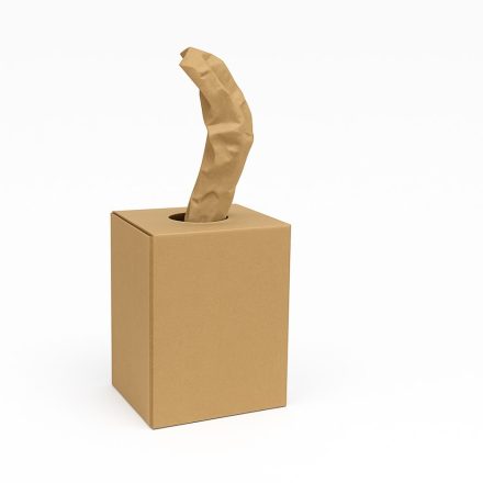 Organic paper filler in carton 350 mm x 450 m, 80 g