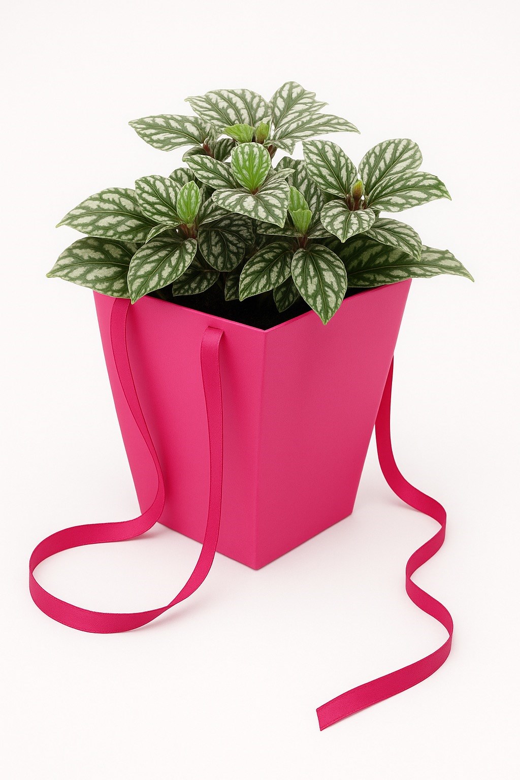 NEOPAK packaging product