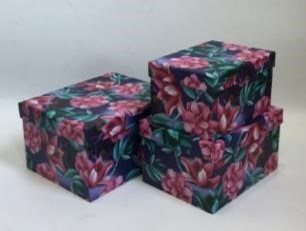 NEOPAK packaging product