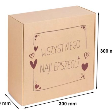 CIRCUMSTANCE CARTON 300x300x110 mm fashion box
