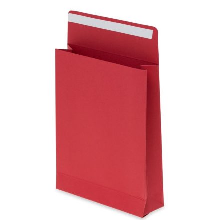 Cardboard gift case 130x170x40 mm red 220 g 10 pcs