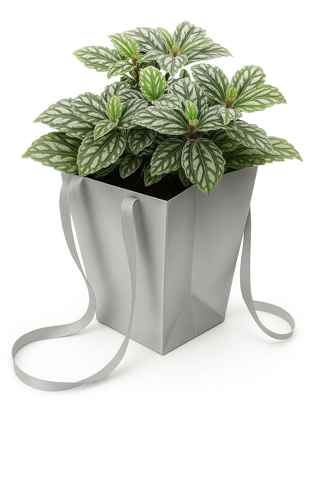 NEOPAK packaging product