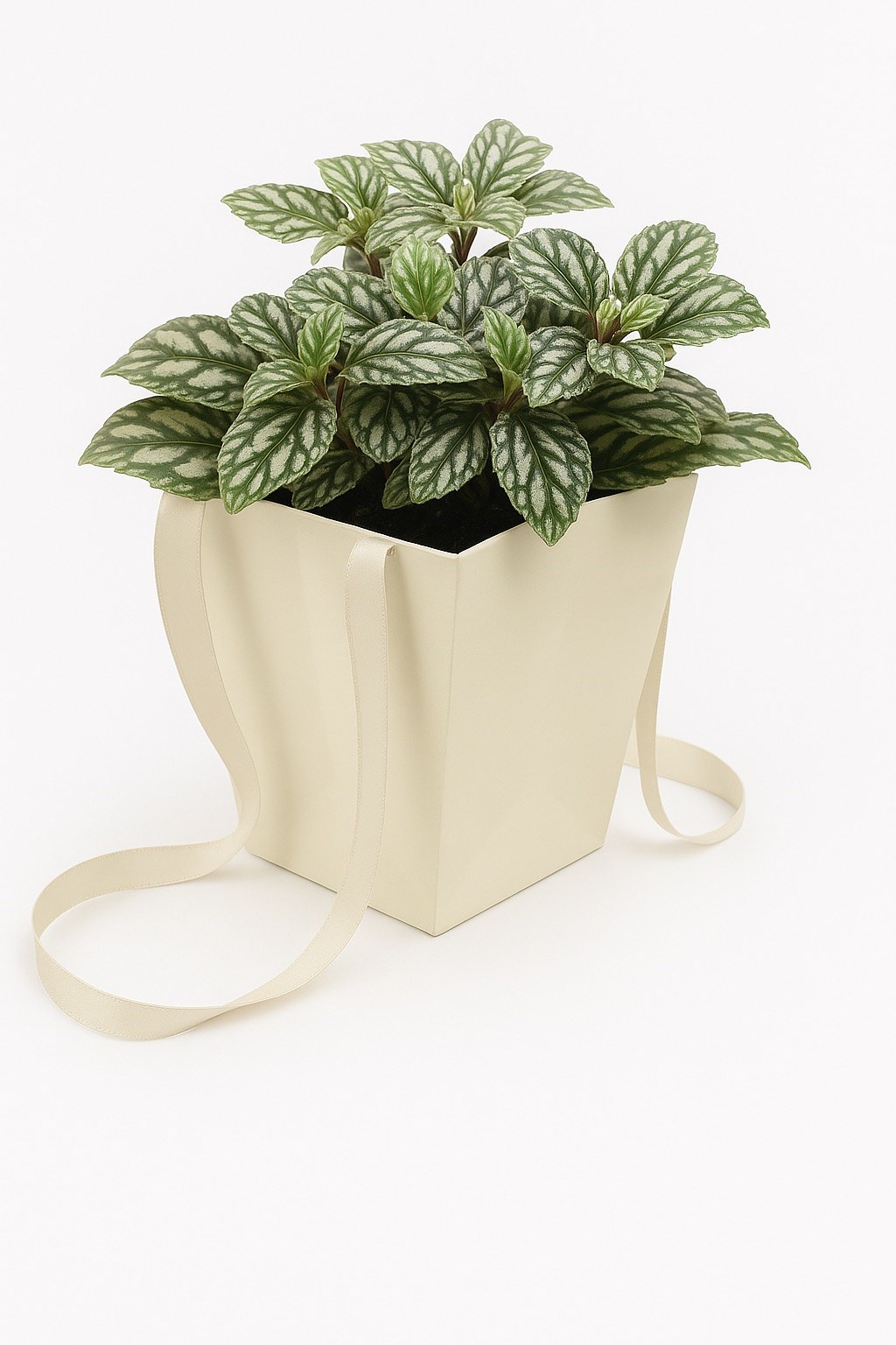 NEOPAK packaging product