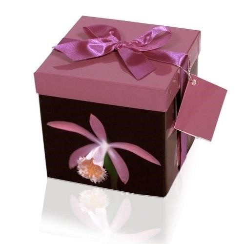 NEOPAK packaging product