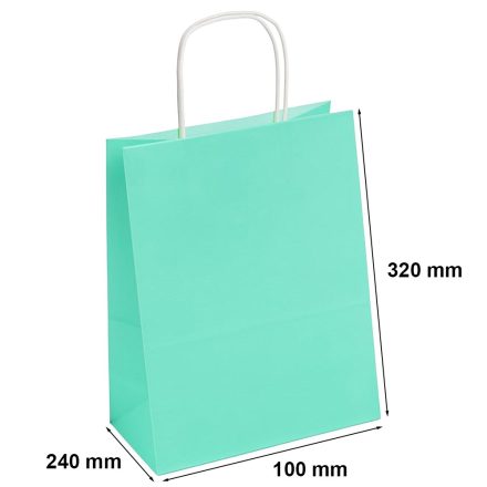 Gift paper bag with handle 240x100x320 mm pastel green