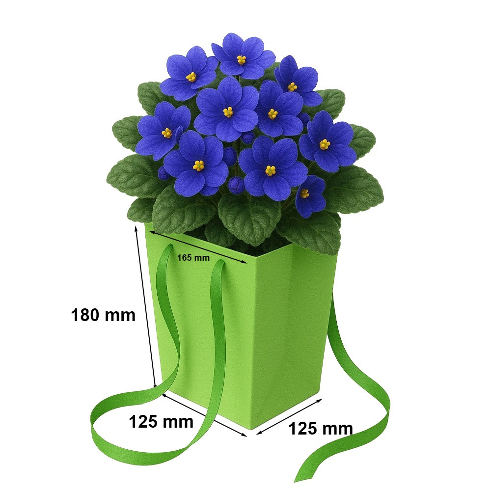 NEOPAK packaging product