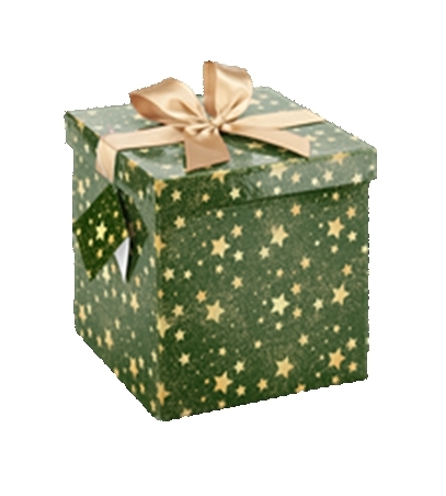 NEOPAK packaging product