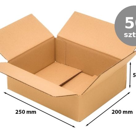 Cardboard 250x200x50 mm B320 shipping box 50 pcs