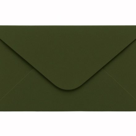 Boxes DL Green Olives 120g - 10 pcs with wet closure