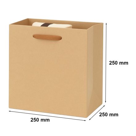 Kraft paper bag with handle 25x25x25 cm 210 g/m2 Q3 Presentation