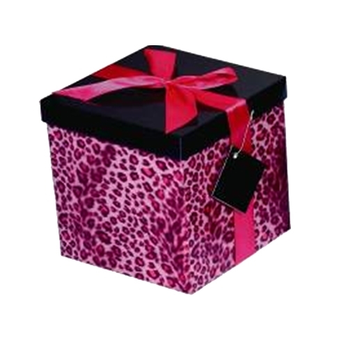 NEOPAK packaging product