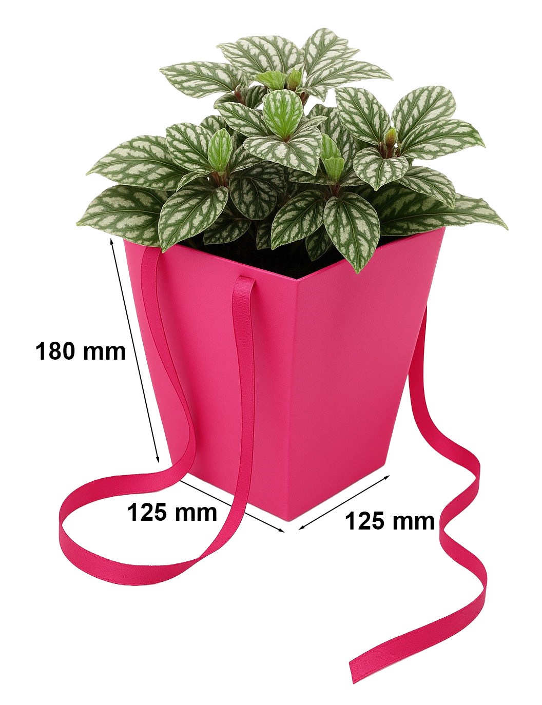 NEOPAK packaging product