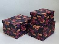NEOPAK packaging product