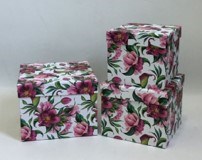 NEOPAK packaging product
